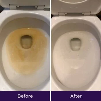FizzTestClean image