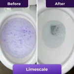 FizzTestClean image